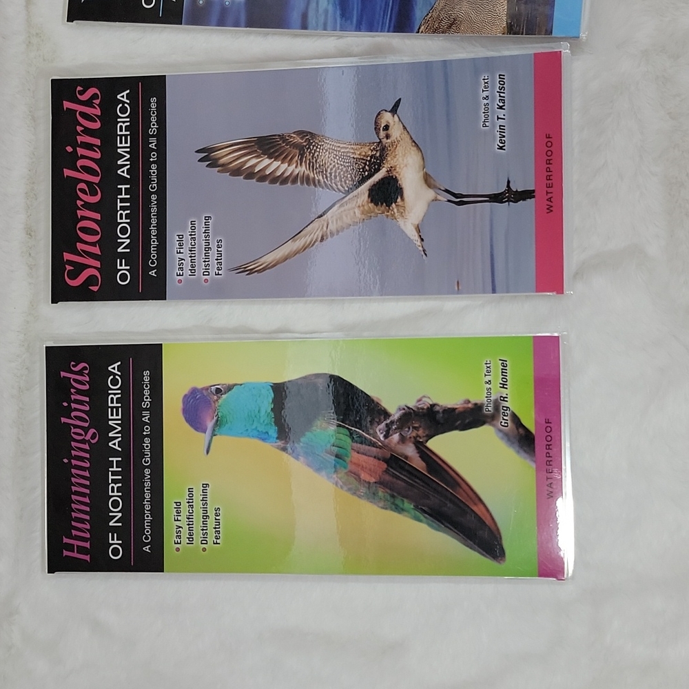 Quick Reference Hummingbirds Raptors Waterfowl Shorebirds of North America - Picture 2 of 7